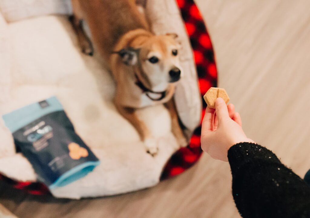 Photo dog treats